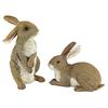 Design Toscano Bashful and Hopper Garden Bunnies Collection: Set of Two QM6200861